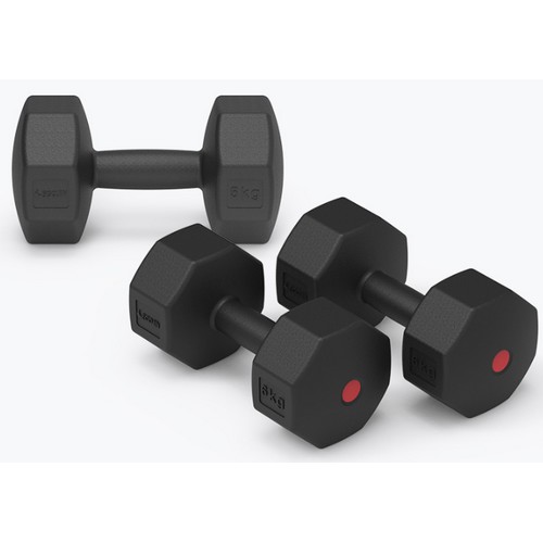 이고진 블랙 팔각 덤벨 세트 (2kg, 2개)_이미지