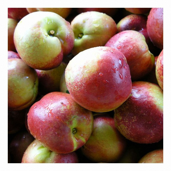 õ�������� �ż� �꺹���� 18~23��(��) 2kg