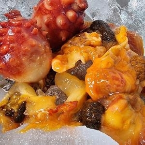 장보리 경남 통영 깐멍게 멍게살 400g이미지입니다. 누르면 해당 게시물로 새창이동합니다.