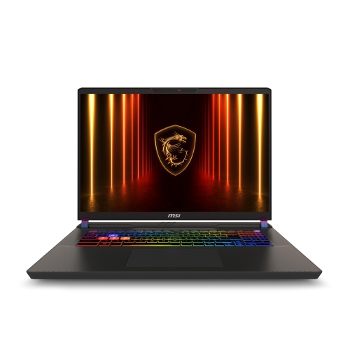 MSI 벡터 17 HX AI A2XWJG-U9 QHD+ W11 96GB램 (SSD 3TB)
