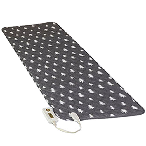 �����Ƿ�� ����µ� ���ڰ� �����