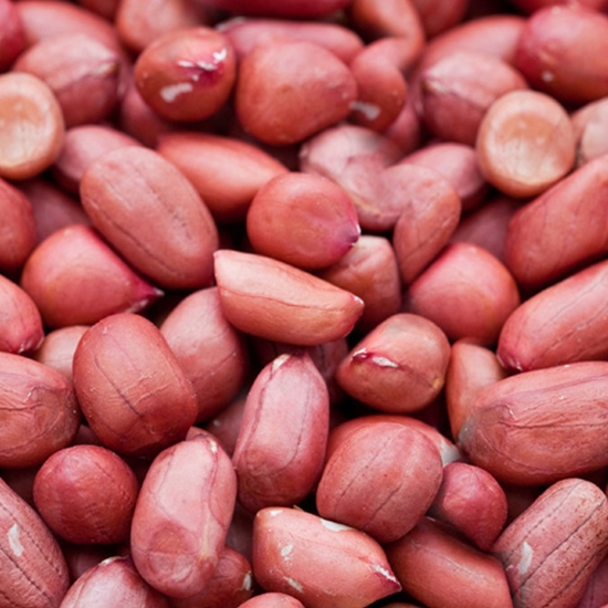 세진푸드 그대로 햇 볶음땅콩 3.75kg (1개)_이미지