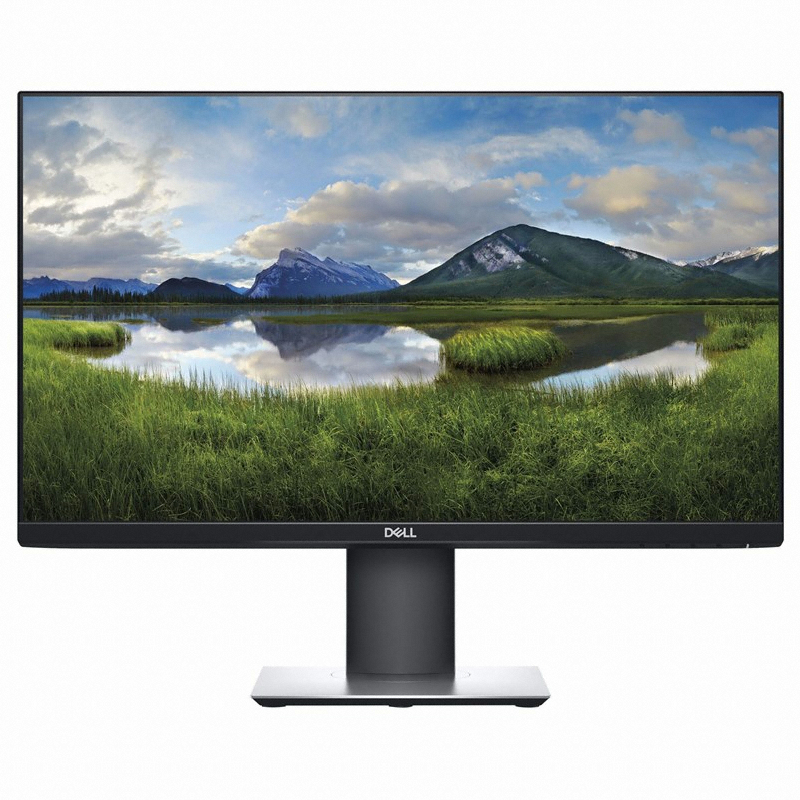 DELL P2421D_이미지