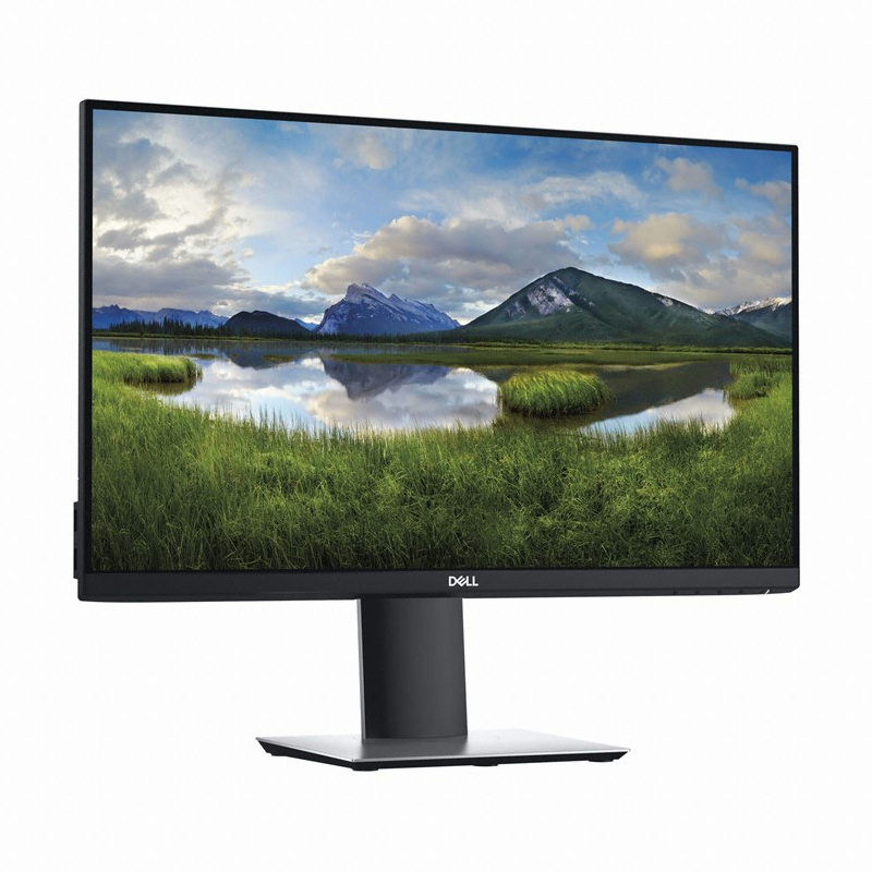 DELL P2421D