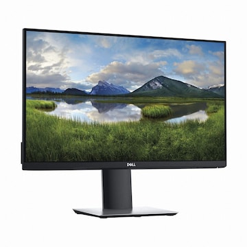 DELL P2421D