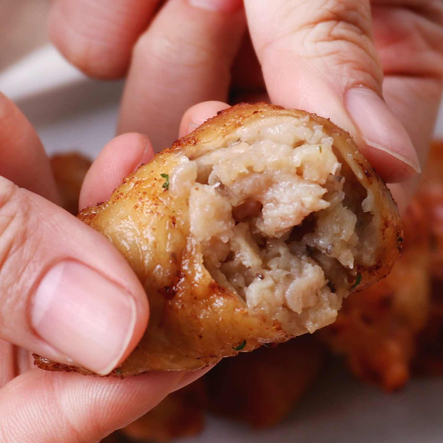 바른씨 바른씨 닭껍질만두 1kg