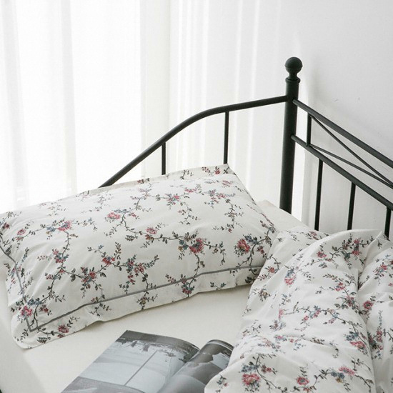 ��ǰ �� �̹���