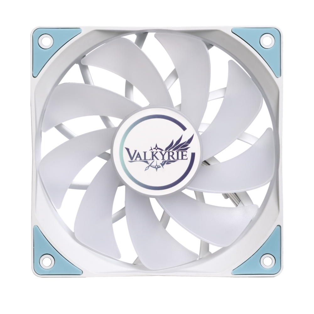 ��Ű�� V12FR ARGB