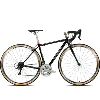 알톤스포츠 제플린 R14 700C (2026년형)