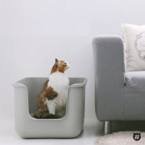 캣츠태그 묘래박스 오리지널