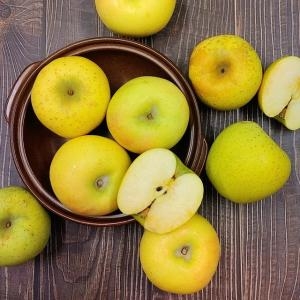 더조은푸드 황금사과 시나노골드 가정용 25~28과 5kg (1개)_이미지
