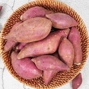 꿀고구마 10kg 대/왕크기