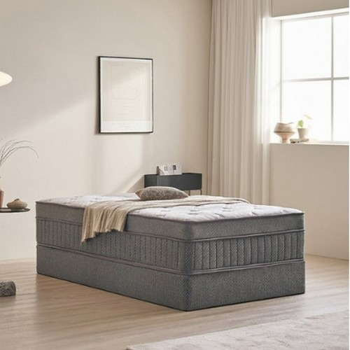 �ױ۷��� ���� ���� ��ü�� �ʷο�ž ��Ʈ���� Q