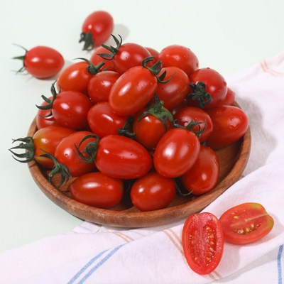 달찐과일 스테비아 방울토마토 스테비아/망고향/자몽향 외 (500g,4개)_이미지