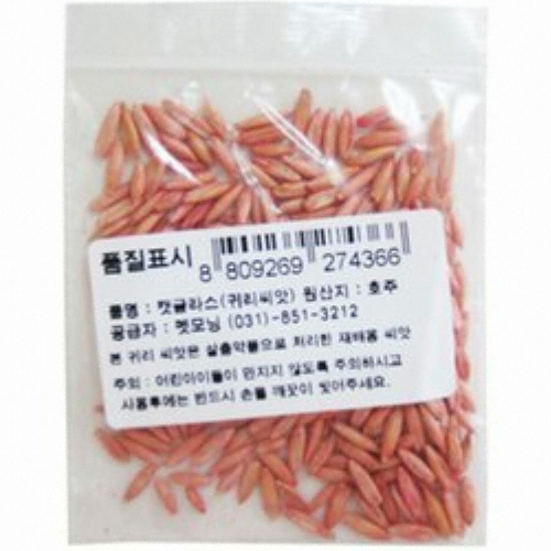 펫모닝 귀리 씨앗 12g PMC-236