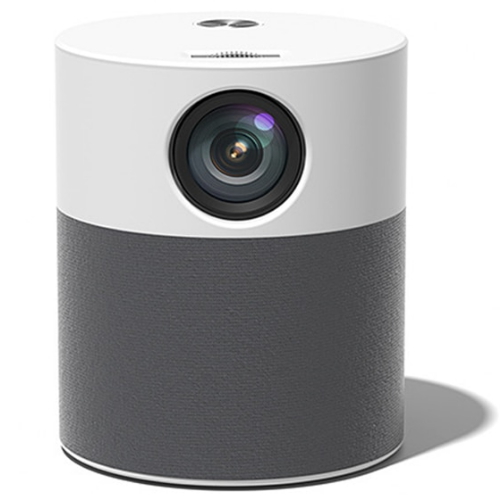 ZDSSY P40 (해외구매)_이미지