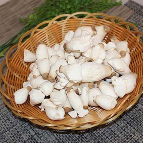 팜웨이 꼬리새송이버섯 2kg (1개)