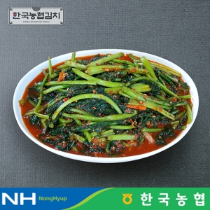 한국농협김치 전라도 순천 남도 열무김치 3kg_이미지