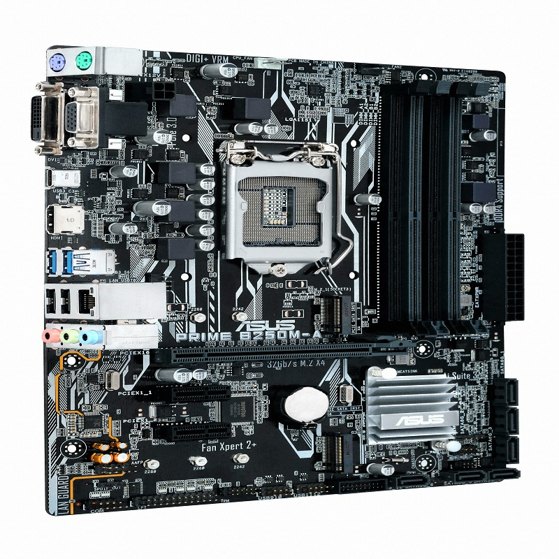ASUS PRIME B250M-A ���ؾ����۴�