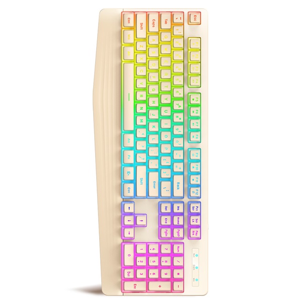 몬스타 가츠 X104 PUDDING