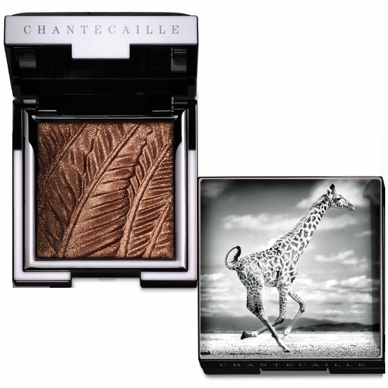 샹테카이 2019 Fall 필란트로피 루미네센트 아이섀이드 2g (1개)_이미지