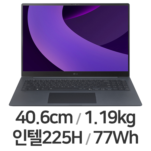 LG전자 2025 그램 프로16 16Z90TP-GA5MK (SSD 256GB)
