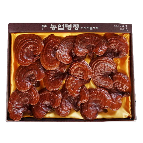류충현약용버섯 농업명장 편각영지버섯 선물세트 400g (1개)_이미지