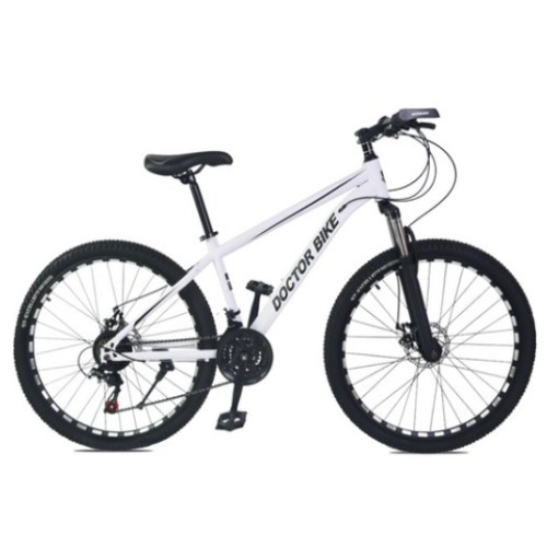 예스대현 닥터바이크 F-26S 26