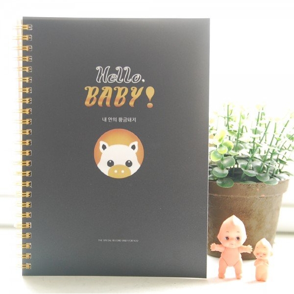 2019 돼지띠 내안의 황금돼지 임신초음파앨범