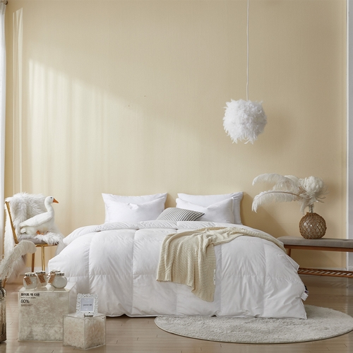 ������Ȩ ������ �����̾� �ú����� �����ٿ� �̺�