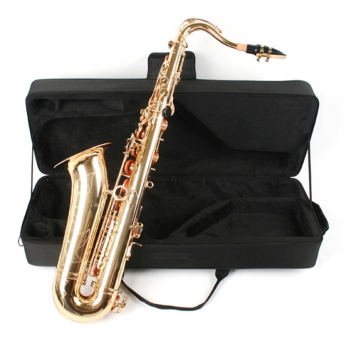 뮐러악기 색소폰 EVA형 테너 케이스_이미지