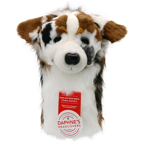 데프니 오스트레일리언 셰퍼드 드라이버커버_이미지