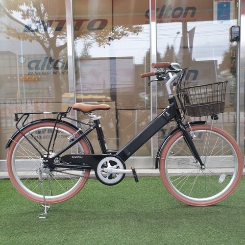 알톤스포츠 이노젠 24 DUAL