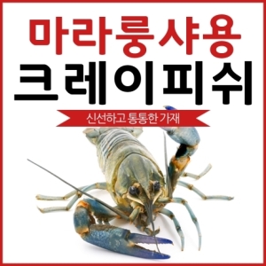 해룡  크레이피쉬 1kg 30~40미 [1개] 상품이미지