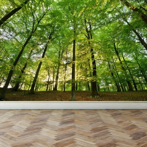 마이월플레이즈  뮤럴 풍경디자인 벽지 울창한 숲 (1장, 180cm x 1.3m)