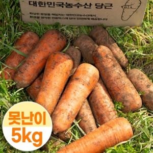  대한민국농수산 국내산 햇당근 제주도 주스용 못난이 5kg