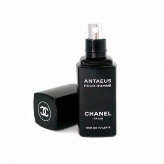 샤넬 안테우스 EDT (100ml)_이미지