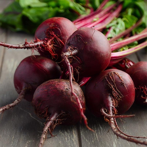 사과랑 자연맛남 제주직송 레드비트 5kg 특품 [1개]