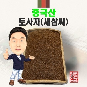 중국산 토사자   경북 영천
