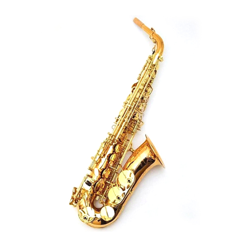 야나기사와 A-WO20이미지입니다. 누르면 해당 게시물로 새창이동합니다.