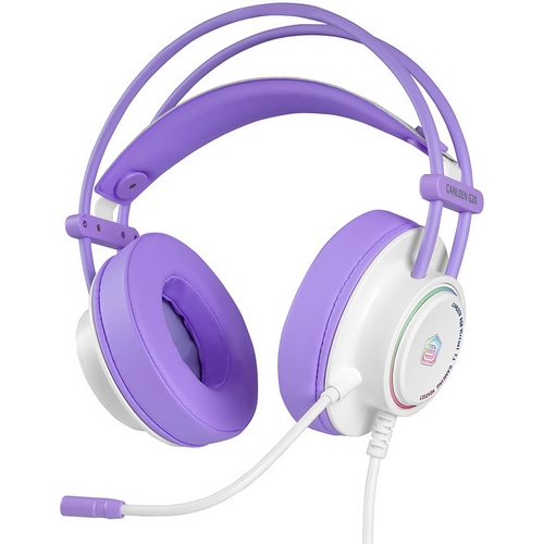 ����Ʈ Canleen G20 ���� 7.1ä�� ���̹� ����