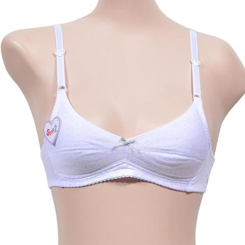 ���� �ִϾ� 2�ܰ� AA�� ���л� ��� û�ҳ� ����� WD6C5E8