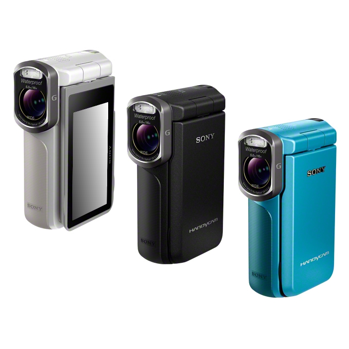 SONY HandyCam DCR-DVD650