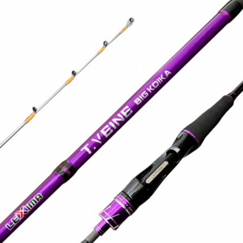 바낙스 티벤 빅 코이카