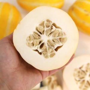 호돌이농산 진짜 성주 꿀참외 랜덤과 3kg (1개)_이미지