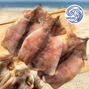 국산 반건조오징어 10마리 대 / 동해안 피데기오징어