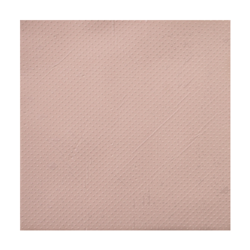 Thermal Grizzly minus pad8 100x100 (2.0mm)_이미지