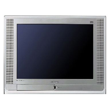 삼성전자 명품 CT-29A20HRN