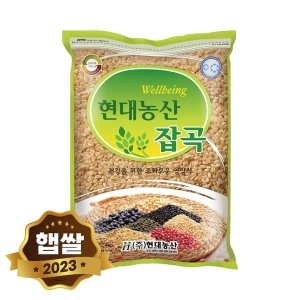 현대농산 햅쌀 국산 현미 2kg (1개)