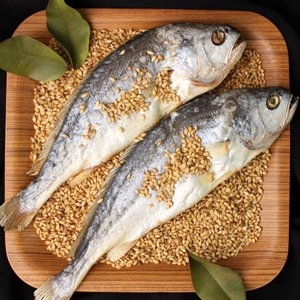산정마을 영광법성포 부세 찐 보리굴비 5미_이미지